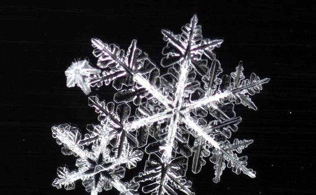 Cómo se forman los copos de nieve y por qué son diferentes El Correo